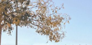 Feeling comfortable is the most important thing for Yomalix.